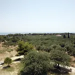 Andriani-michalis Vasilikí