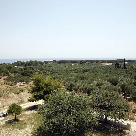 Andriani-michalis Vasilikí